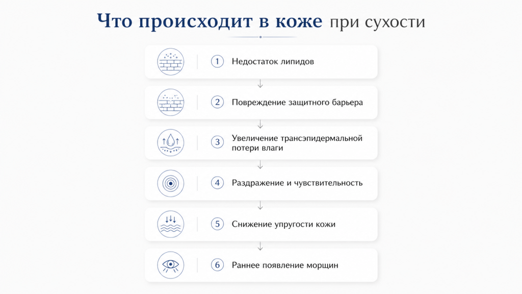 Что происходит в коже при сухости 4 (1).png